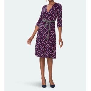 Leota Womens Strawberry Patch Perfect Wrap Dress Blue Red Belted size Small